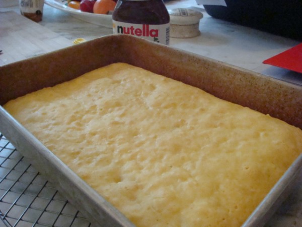 Coconut Yogurt Cake unfrosted - Beyond the Pasta