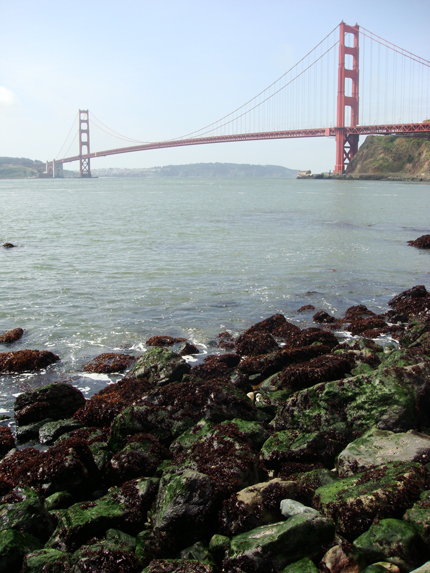 Golden Gate "Mark Leslie" "Beyond the Pasta"