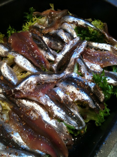 Layered-alici "Beyond the Pasta"