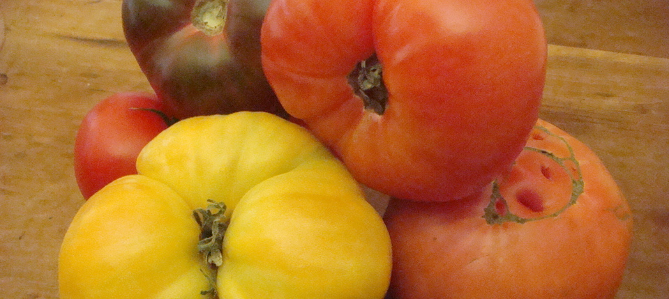 Post image heirloom tomatoes - Beyond the Pasta - Mark Leslie