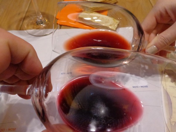 "2012 DaVinci Wine Storyteller Experience"